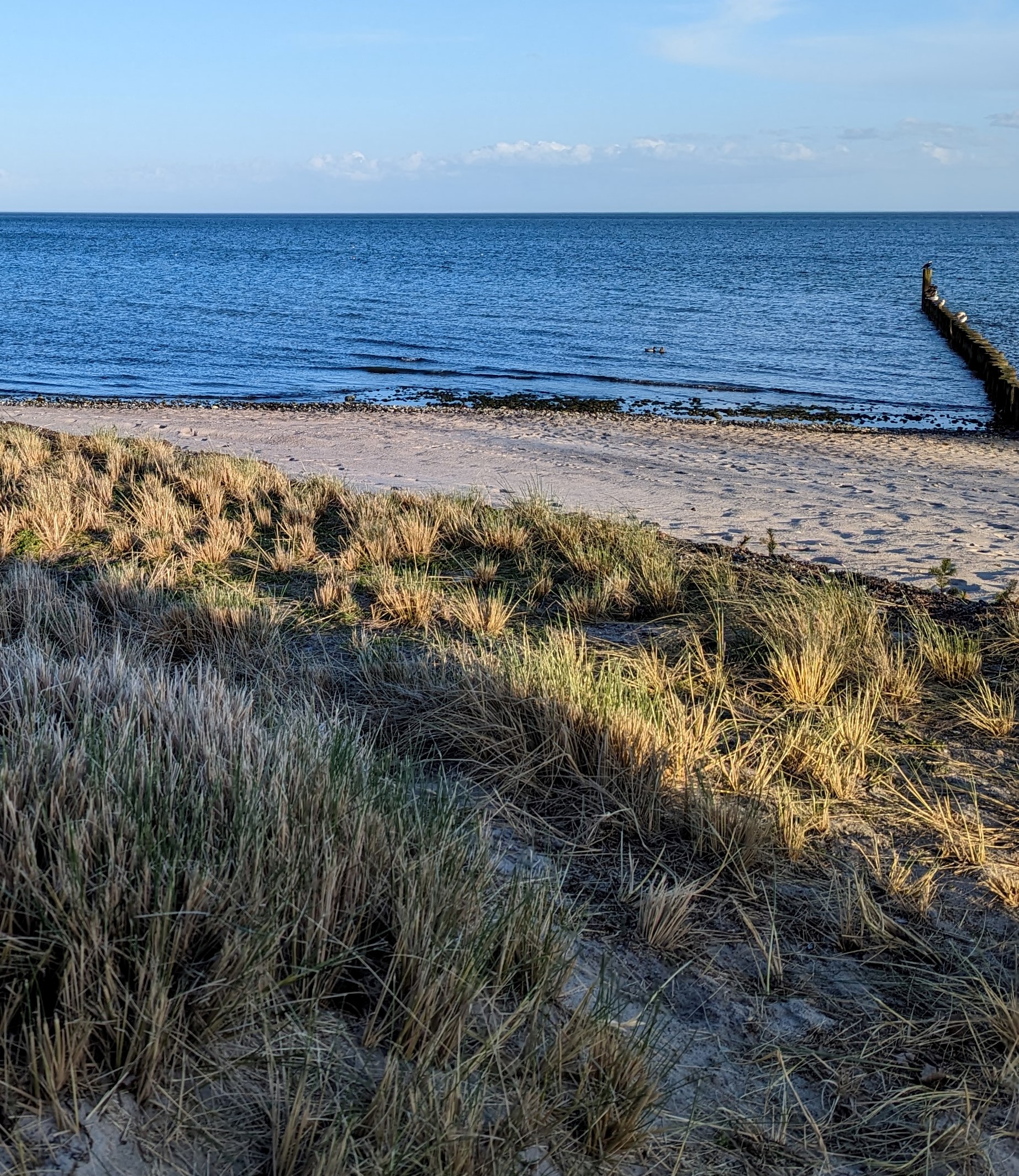 Strand und Düne mit Blick auf die Ostsee